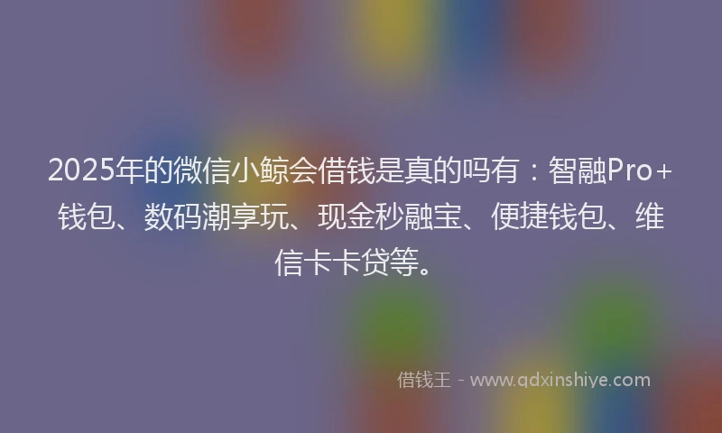 2025年的微信小鲸会借钱是真的吗有：智融Pro+钱包、数码潮享玩、现金秒融宝、便捷钱包、维信卡卡贷等。