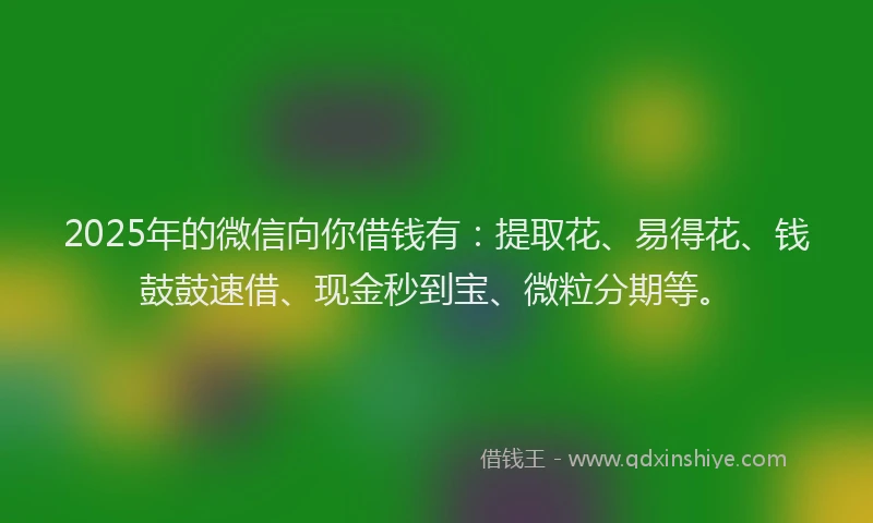 2025年的微信向你借钱有：提取花、易得花、钱鼓鼓速借、现金秒到宝、微粒分期等。