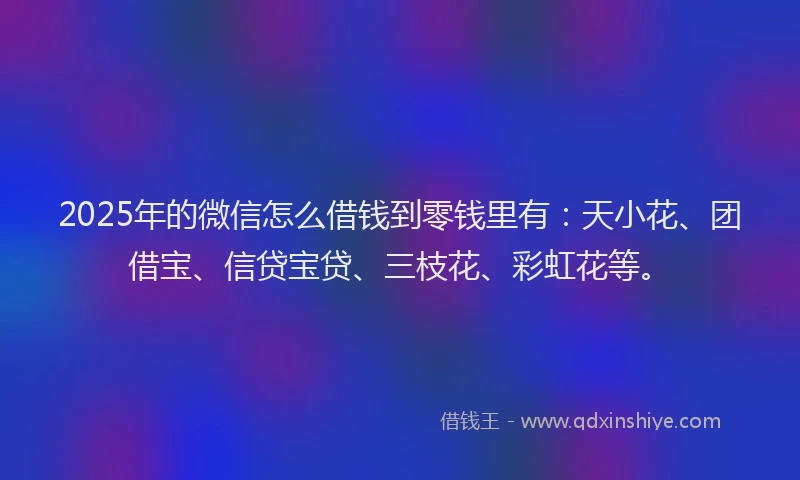 2025年的微信怎么借钱到零钱里有:天小花、团借宝、信贷宝贷、三枝花、彩虹花等。