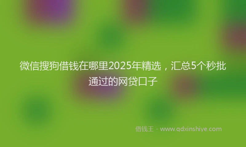 微信搜狗借钱在哪里2025年精选，汇总5个秒批通过的网贷口子