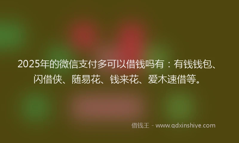 2025年的微信支付多可以借钱吗有：有钱钱包、闪借侠、随易花、钱来花、爱木速借等。