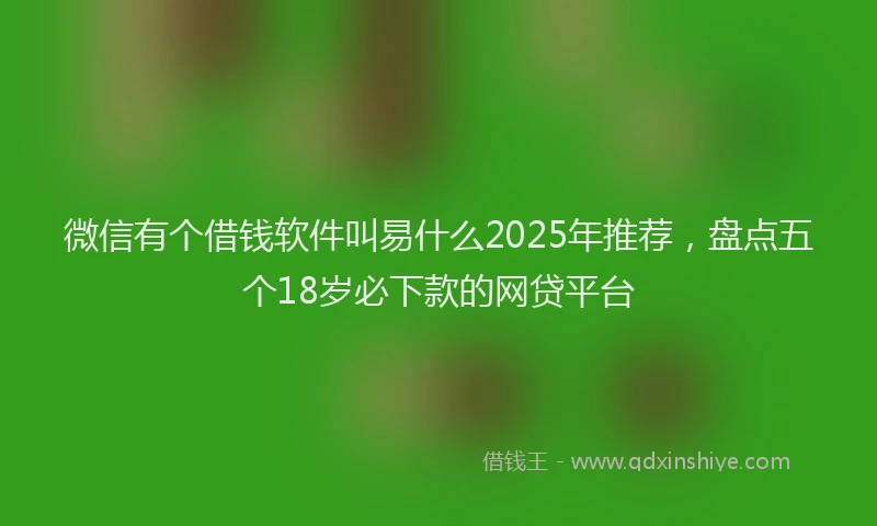 微信有个借钱软件叫易什么2025年推荐，盘点五个18岁必下款的网贷平台