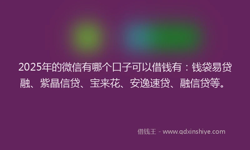 2025年的微信有哪个口子可以借钱有：钱袋易贷融、紫晶信贷、宝来花、安逸速贷、融信贷等。