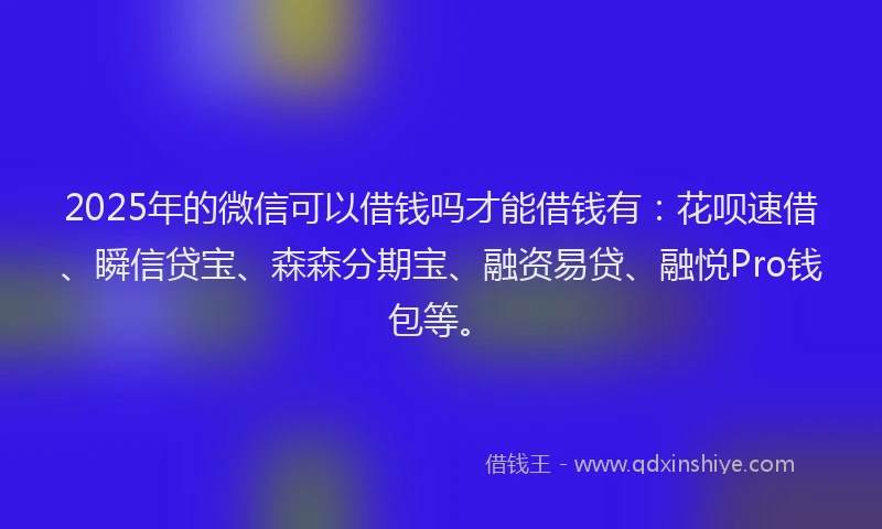 2025年的微信可以借钱吗才能借钱有：花呗速借、瞬信贷宝、森森分期宝、融资易贷、融悦Pro钱包等。