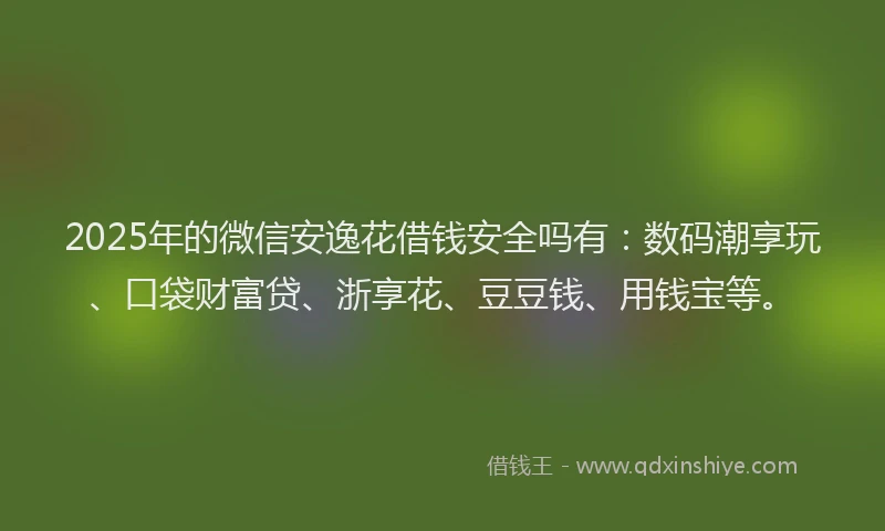 2025年的微信安逸花借钱安全吗有：数码潮享玩、口袋财富贷、浙享花、豆豆钱、用钱宝等。