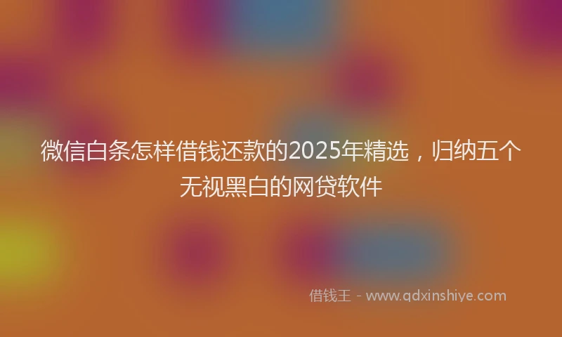 微信白条怎样借钱还款的2025年精选，归纳五个无视黑白的网贷软件