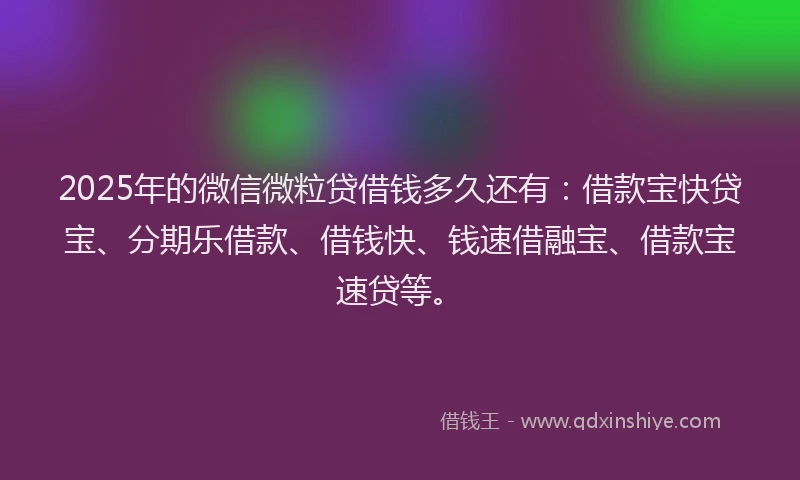 2025年的微信微粒贷借钱多久还有：借款宝快贷宝、分期乐借款、借钱快、钱速借融宝、借款宝速贷等。