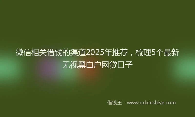 微信相关借钱的渠道2025年推荐，梳理5个最新无视黑白户网贷口子