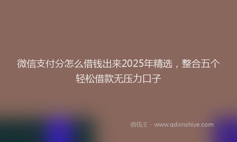 微信支付分怎么借钱出来2025年精选，整合五个轻松借款无压力口子