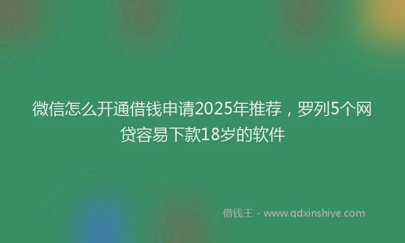 微信怎么开通借钱申请2025年推荐，罗列5个网贷容易下款18岁的软件