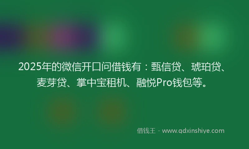 2025年的微信开口问借钱有：甄信贷、琥珀贷、麦芽贷、掌中宝租机、融悦Pro钱包等。