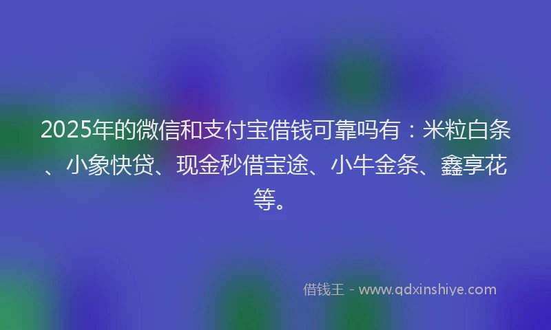 2025年的微信和支付宝借钱可靠吗有：米粒白条、小象快贷、现金秒借宝途、小牛金条、鑫享花等。
