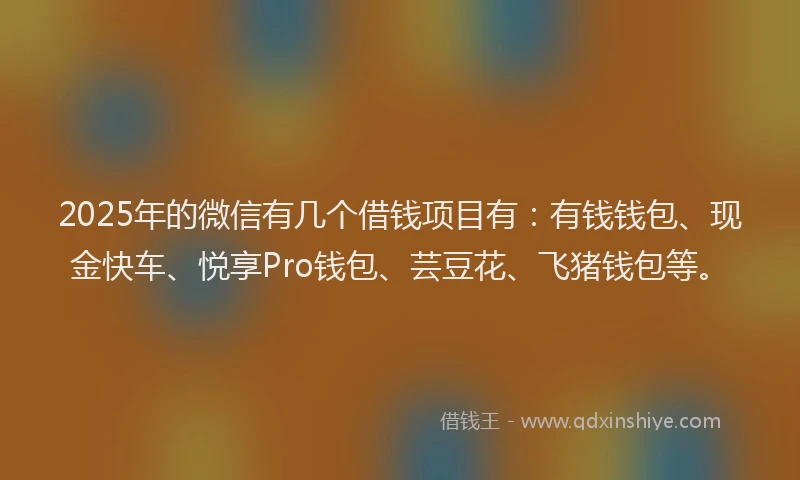 2025年的微信有几个借钱项目有：有钱钱包、现金快车、悦享Pro钱包、芸豆花、飞猪钱包等。