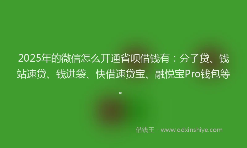 2025年的微信怎么开通省呗借钱有：分子贷、钱站速贷、钱进袋、快借速贷宝、融悦宝Pro钱包等。