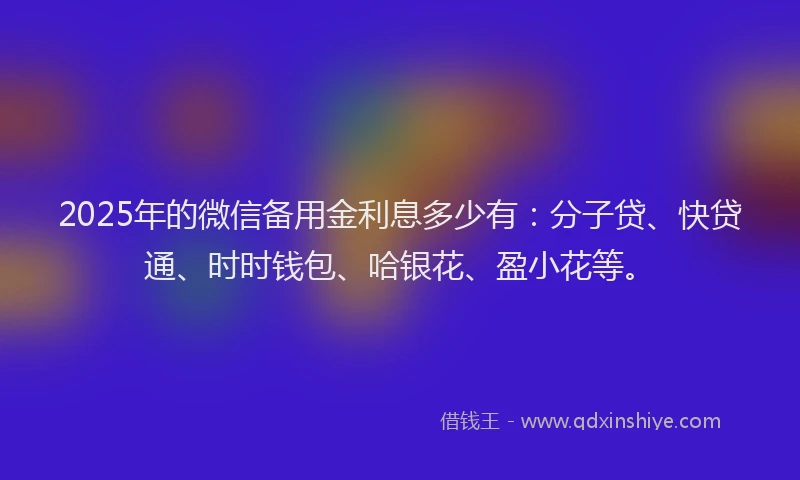 2025年的微信备用金利息多少有：分子贷、快贷通、时时钱包、哈银花、盈小花等。