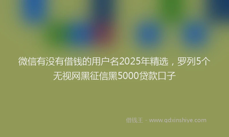 微信有没有借钱的用户名2025年精选，罗列5个无视网黑征信黑5000贷款口子