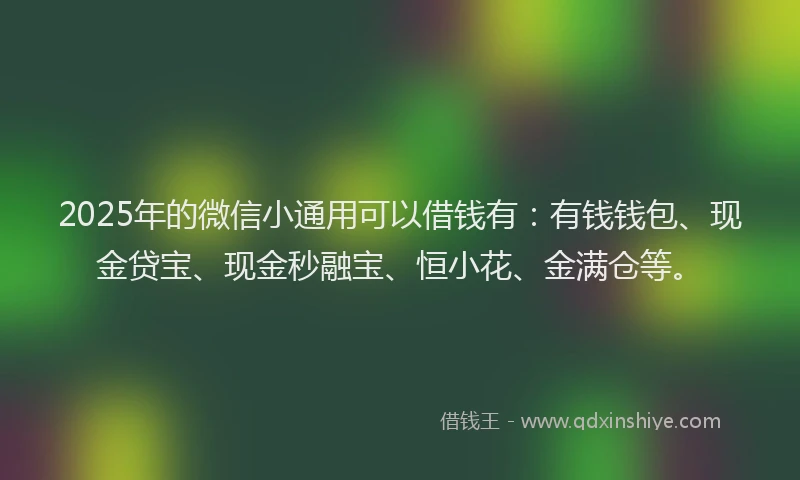 2025年的微信小通用可以借钱有：有钱钱包、现金贷宝、现金秒融宝、恒小花、金满仓等。