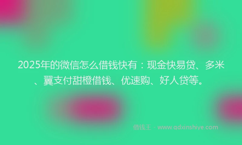 2025年的微信怎么借钱快有：现金快易贷、多米、翼支付甜橙借钱、优速购、好人贷等。