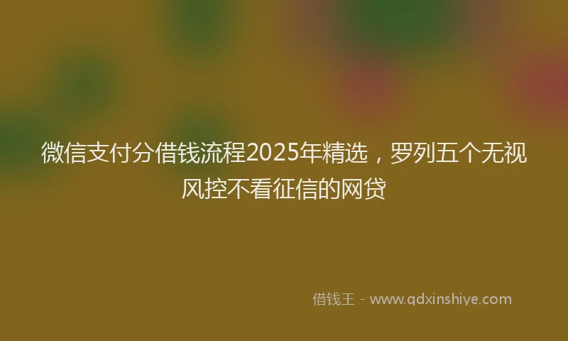 微信支付分借钱流程2025年精选，罗列五个无视风控不看征信的网贷