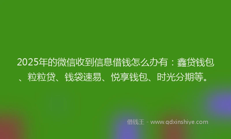 2025年的微信收到信息借钱怎么办有：鑫贷钱包、粒粒贷、钱袋速易、悦享钱包、时光分期等。