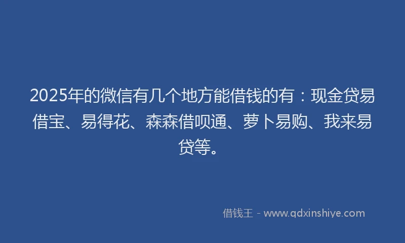 2025年的微信有几个地方能借钱的有：现金贷易借宝、易得花、森森借呗通、萝卜易购、我来易贷等。