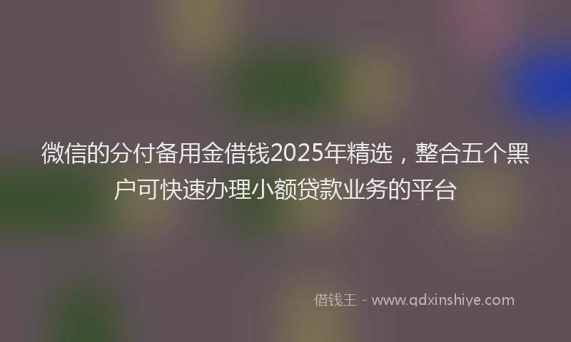 微信的分付备用金借钱2025年精选，整合五个黑户可快速办理小额贷款业务的平台