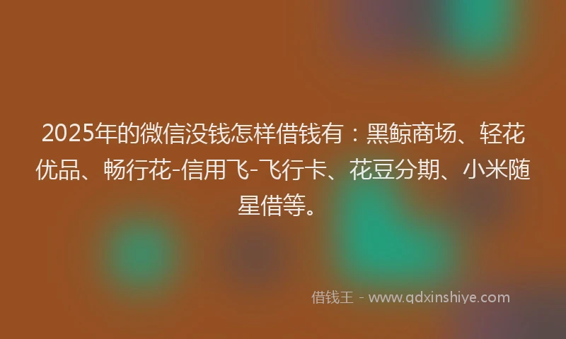 2025年的微信没钱怎样借钱有：黑鲸商场、轻花优品、畅行花-信用飞-飞行卡、花豆分期、小米随星借等。