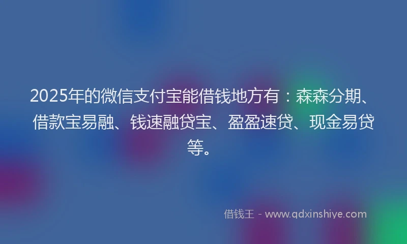 2025年的微信支付宝能借钱地方有：森森分期、借款宝易融、钱速融贷宝、盈盈速贷、现金易贷等。