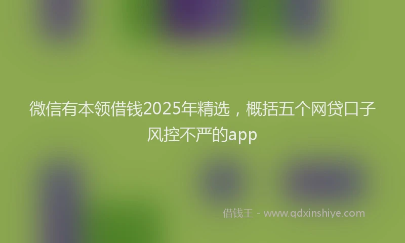 微信有本领借钱2025年精选，概括五个网贷口子风控不严的app