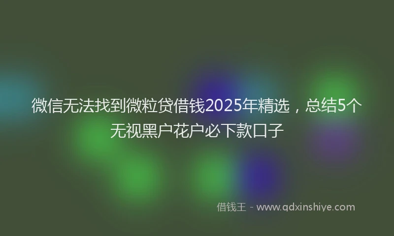 微信无法找到微粒贷借钱2025年精选，总结5个无视黑户花户必下款口子