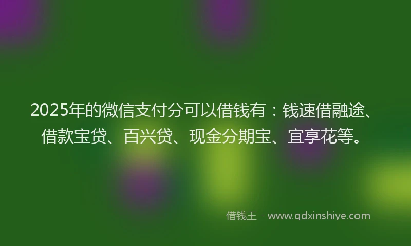2025年的微信支付分可以借钱有：钱速借融途、借款宝贷、百兴贷、现金分期宝、宜享花等。