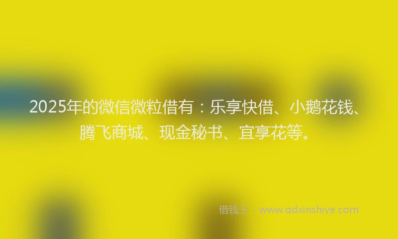 2025年的微信微粒借有：乐享快借、小鹅花钱、腾飞商城、现金秘书、宜享花等。