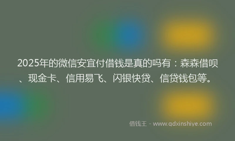 2025年的微信安宜付借钱是真的吗有：森森借呗、现金卡、信用易飞、闪银快贷、信贷钱包等。