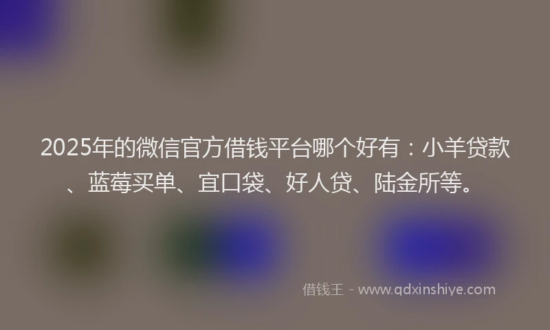 2025年的微信官方借钱平台哪个好有：小羊贷款、蓝莓买单、宜口袋、好人贷、陆金所等。