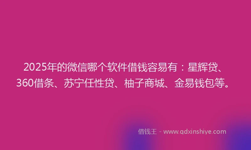 2025年的微信哪个软件借钱容易有：星辉贷、360借条、苏宁任性贷、柚子商城、金易钱包等。