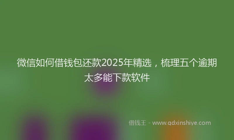 微信如何借钱包还款2025年精选，梳理五个逾期太多能下款软件