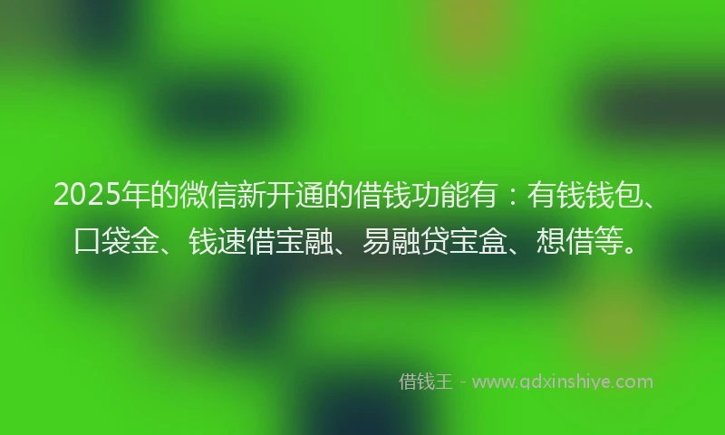 2025年的微信新开通的借钱功能有：有钱钱包、口袋金、钱速借宝融、易融贷宝盒、想借等。