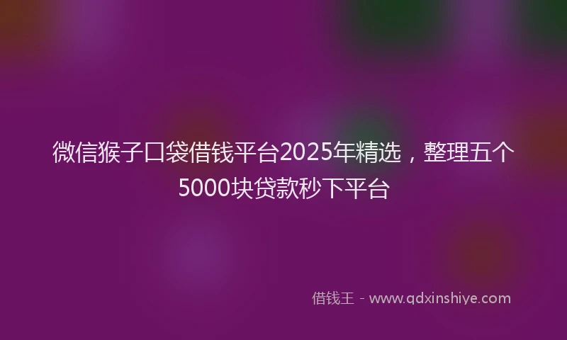 微信猴子口袋借钱平台2025年精选，整理五个5000块贷款秒下平台