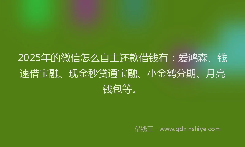 2025年的微信怎么自主还款借钱有：爱鸿森、钱速借宝融、现金秒贷通宝融、小金鹤分期、月亮钱包等。