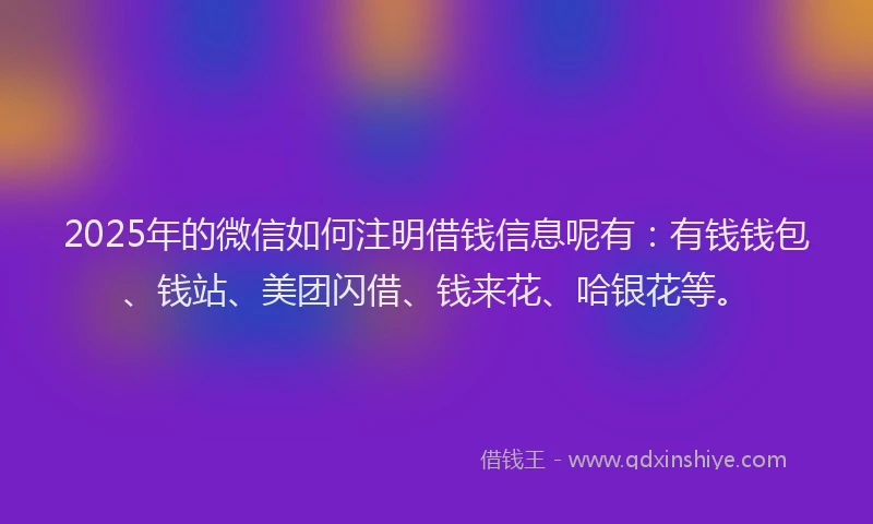 2025年的微信如何注明借钱信息呢有：有钱钱包、钱站、美团闪借、钱来花、哈银花等。