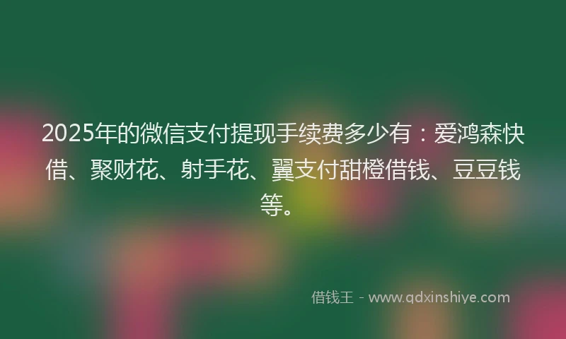 2025年的微信支付提现手续费多少有：爱鸿森快借、聚财花、射手花、翼支付甜橙借钱、豆豆钱等。