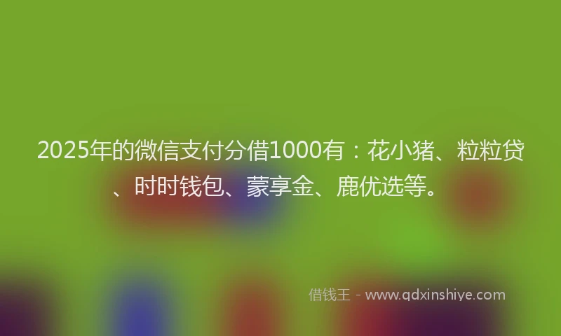 2025年的微信支付分借1000有：花小猪、粒粒贷、时时钱包、蒙享金、鹿优选等。