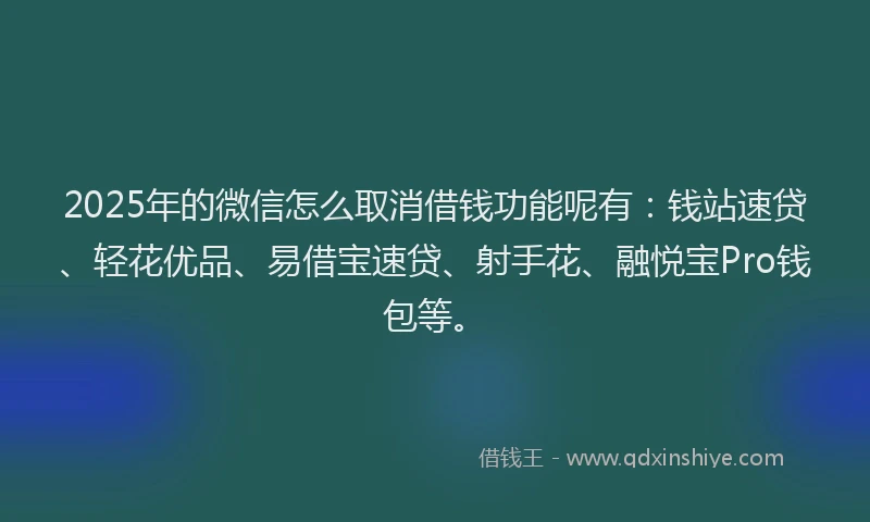 2025年的微信怎么取消借钱功能呢有：钱站速贷、轻花优品、易借宝速贷、射手花、融悦宝Pro钱包等。