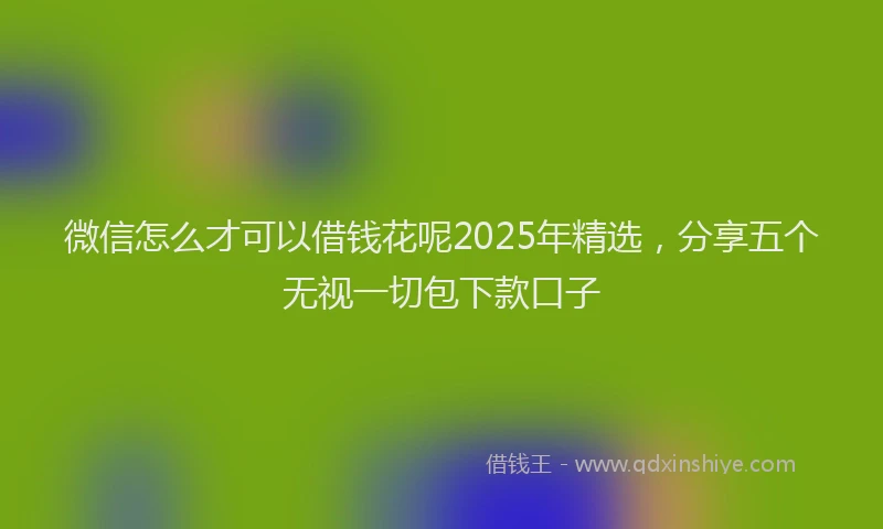 微信怎么才可以借钱花呢2025年精选，分享五个无视一切包下款口子