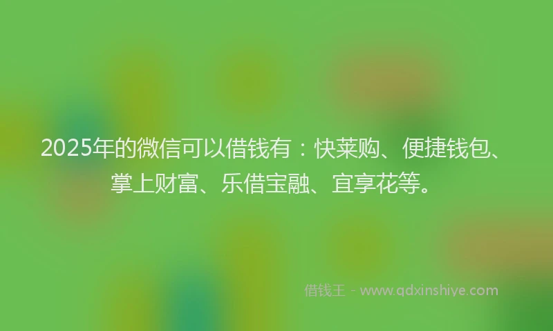 2025年的微信可以借钱有：快莱购、便捷钱包、掌上财富、乐借宝融、宜享花等。
