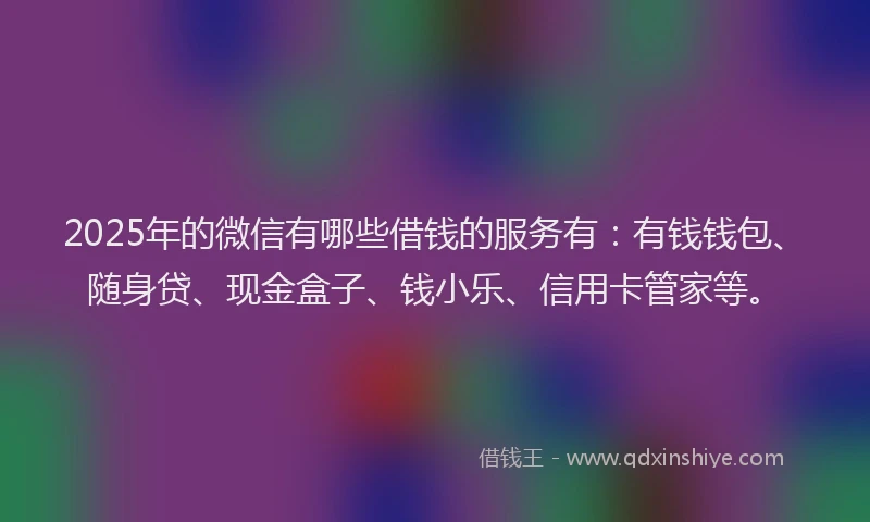 2025年的微信有哪些借钱的服务有：有钱钱包、随身贷、现金盒子、钱小乐、信用卡管家等。