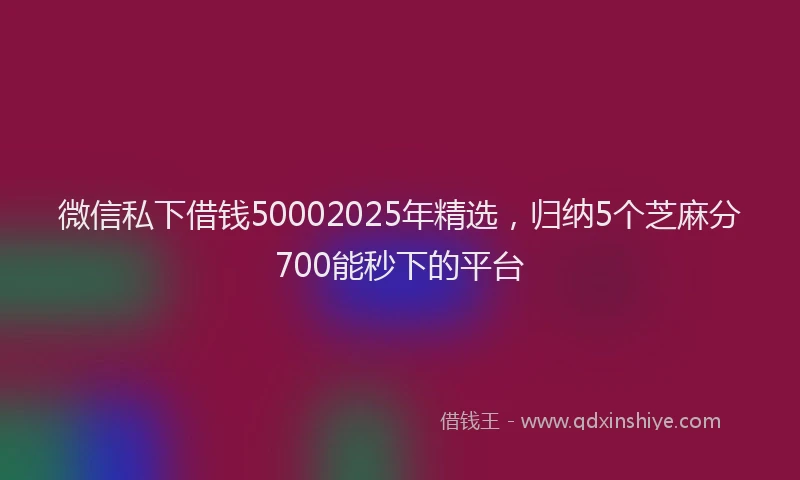 微信私下借钱50002025年精选，归纳5个芝麻分700能秒下的平台