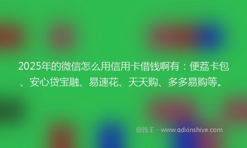 2025年的微信怎么用信用卡借钱啊有：便荔卡包、安心贷宝融、易速花、天天购、多多易购等。