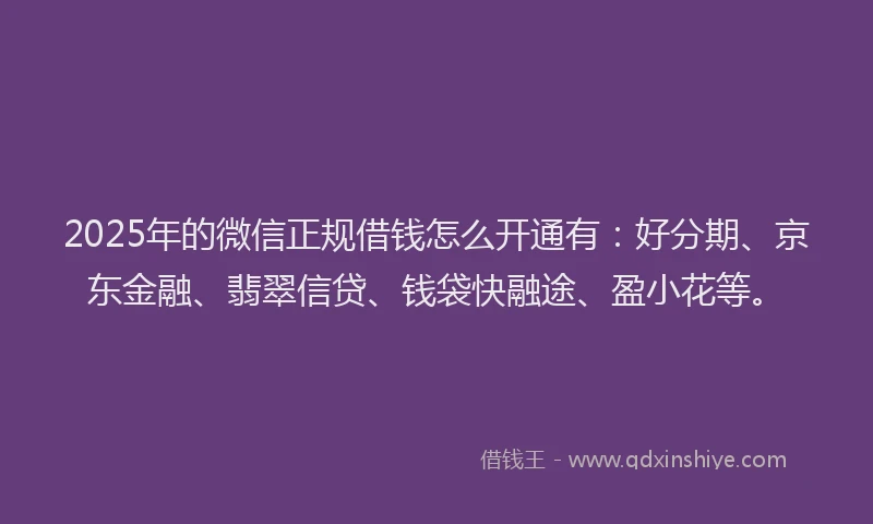2025年的微信正规借钱怎么开通有：好分期、京东金融、翡翠信贷、钱袋快融途、盈小花等。