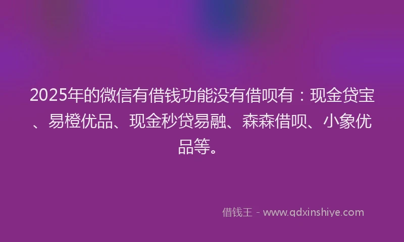 2025年的微信有借钱功能没有借呗有：现金贷宝、易橙优品、现金秒贷易融、森森借呗、小象优品等。